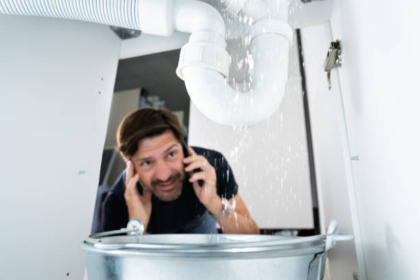 Best Commercial Plumbing Services  in Pukalani, HI