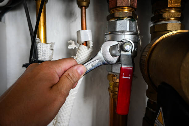 Best Sewer Cleaning Services  in Pukalani, HI